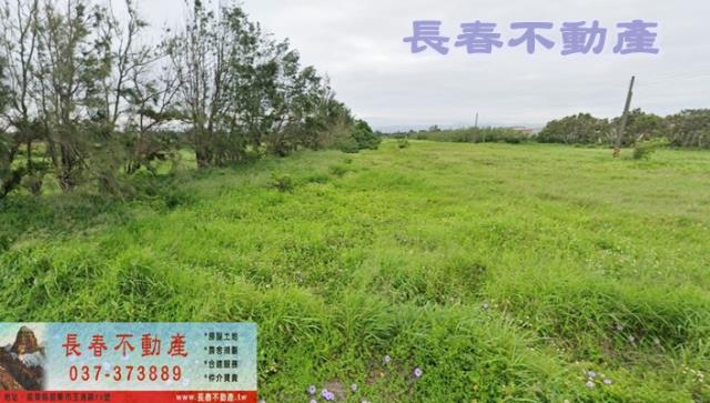 卓蘭風空後山梨園