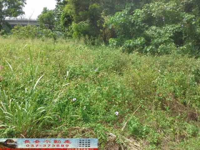 苗栗農地-2