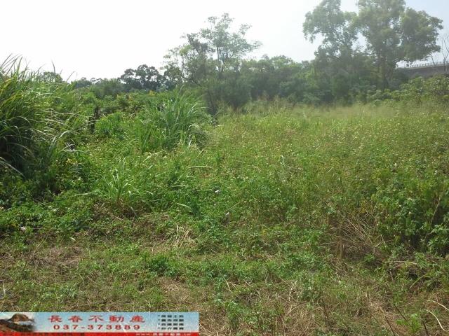 苗栗銅鑼農地-1
