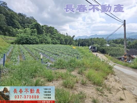 大湖建地-0