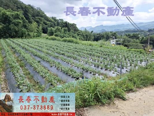 大湖建地-1