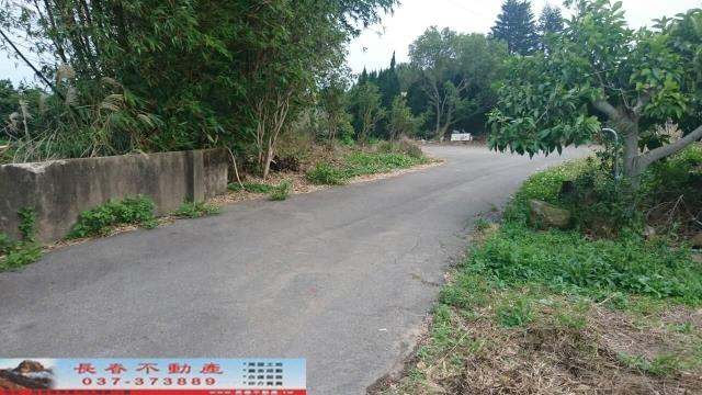 苗栗農地-6