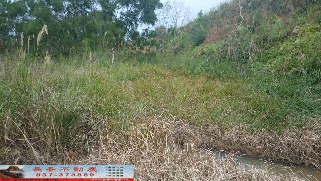 苗栗農地-8