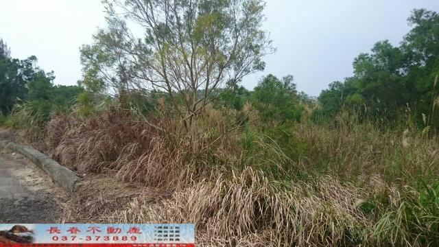 苗栗農地-9