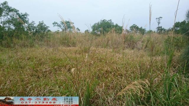 苗栗農地-0
