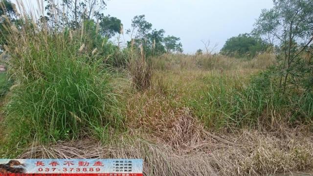 苗栗農地-1