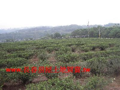 苗栗農地-2