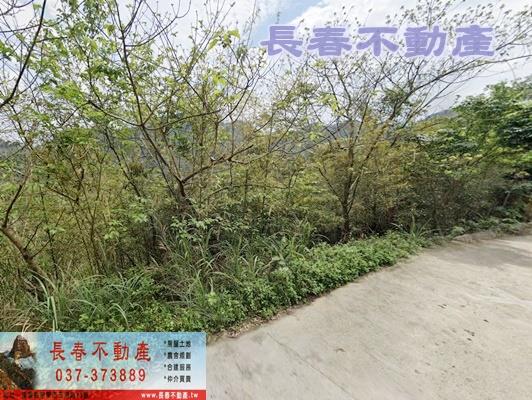苗栗農地-0