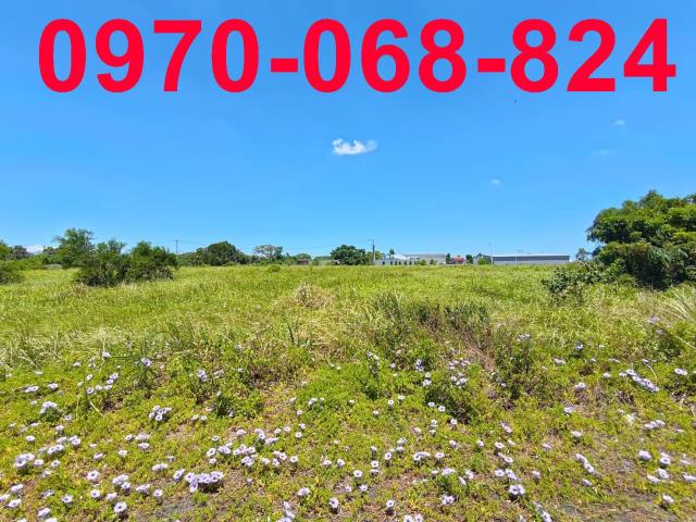 桃園中壢農地-2