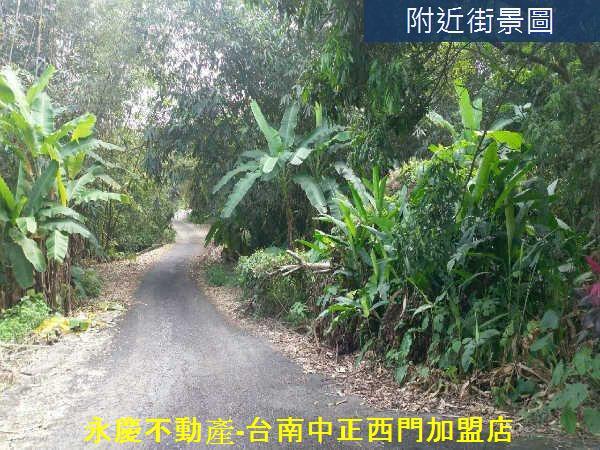 白河農地-8