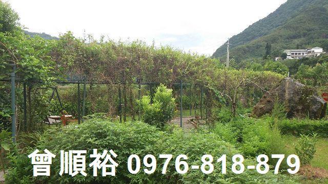 新竹尖石農地-4