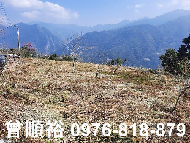 新竹尖石農地-10