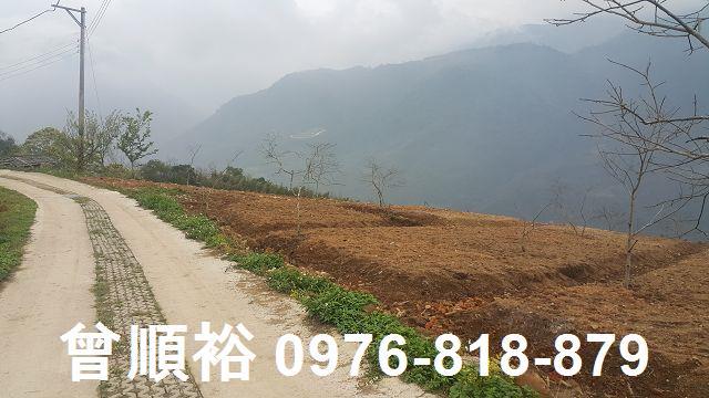 新竹尖石農地-0