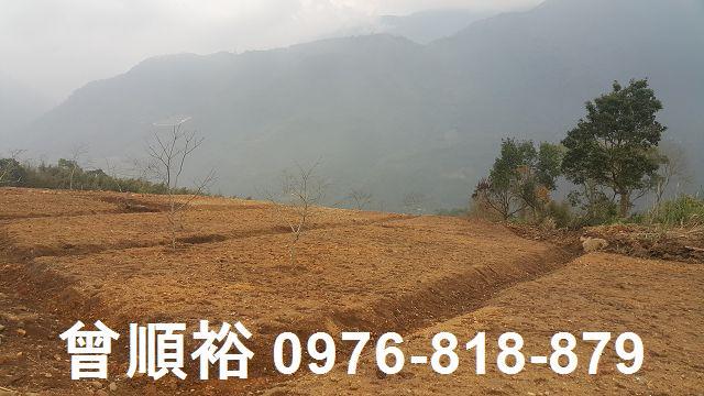 新竹尖石農地-1