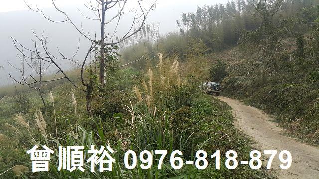 尖石農地-0