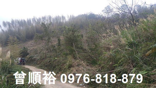 尖石農地-1