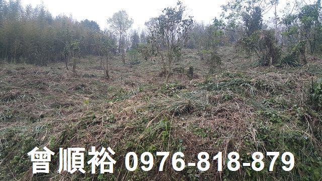 尖石農地-2