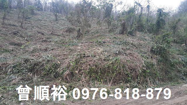 尖石農地-3