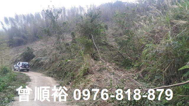 尖石農地-4