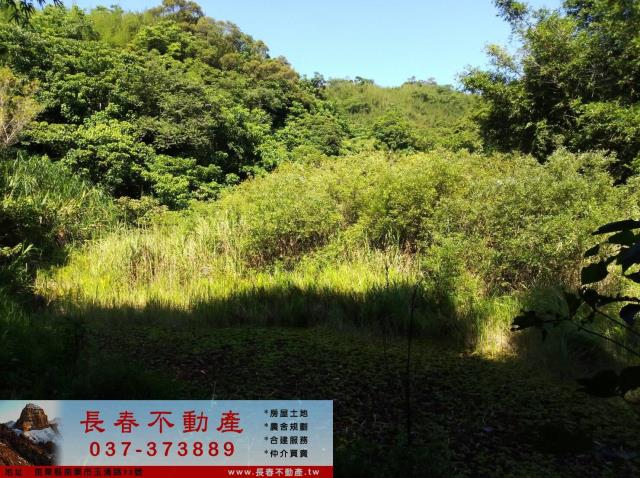 頭屋農地-1
