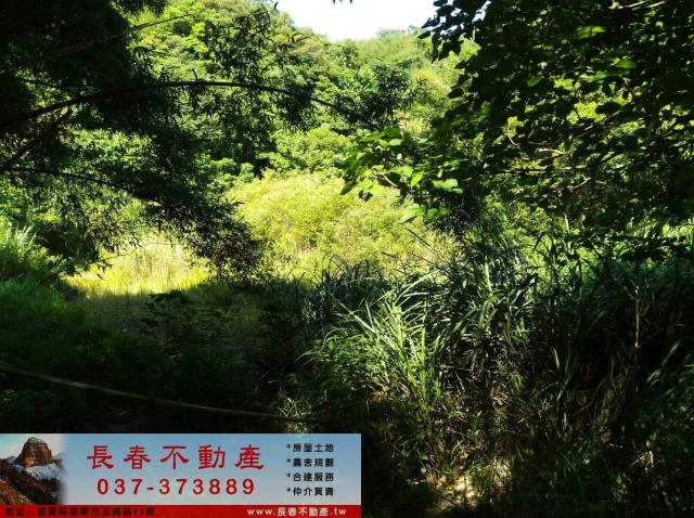 頭屋農地-2