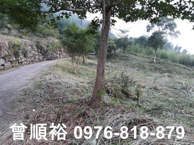 新竹尖石農地-0