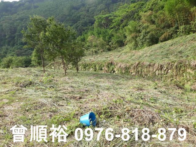 新竹尖石農地-1