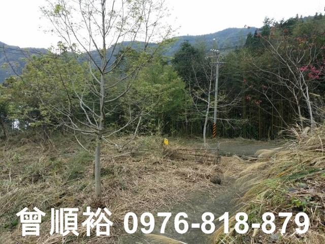 新竹尖石農地-4