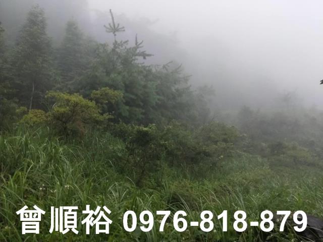 新竹尖石農地-5