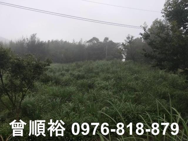 新竹尖石農地-7