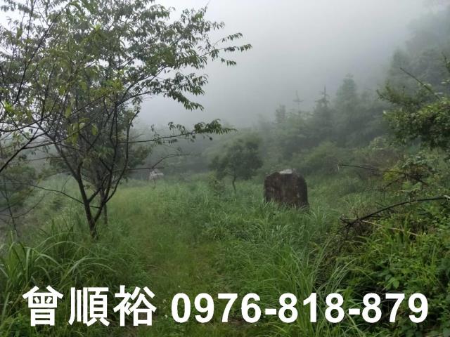新竹尖石農地-9