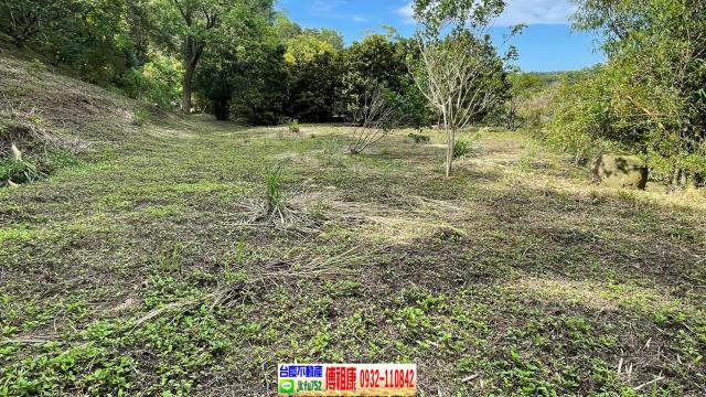 南庄農地-10