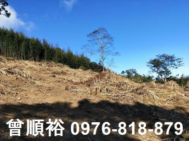 新竹五峰農地-5