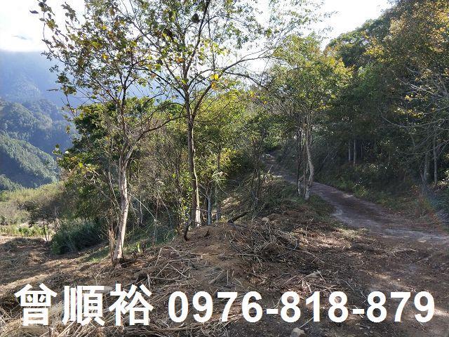 新竹五峰農地-6