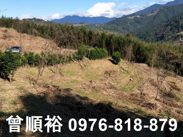 新竹五峰農地-8