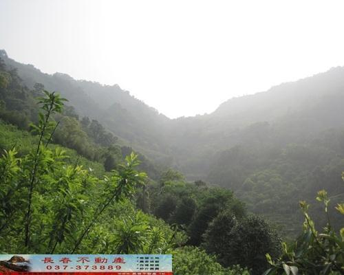 苗栗農地-0