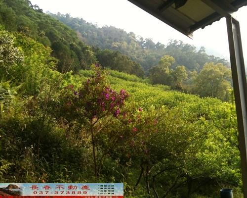 苗栗農地-2
