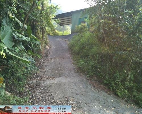 苗栗農地-4