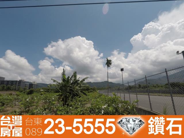 台東鹿野農地-1