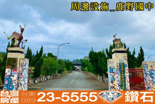 台東鹿野農地-4