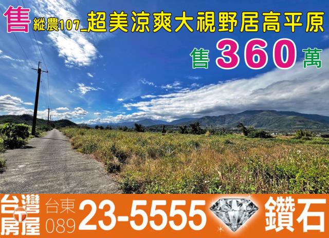 台東鹿野農地-0