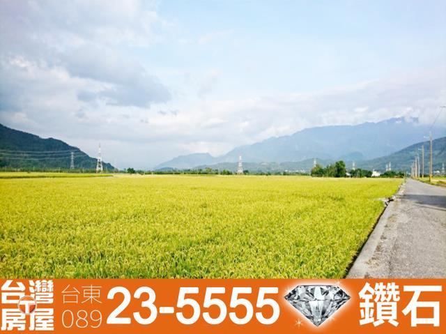 池上農地-6