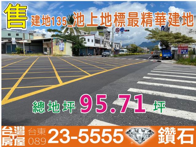 台東建地-0