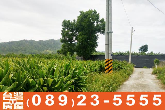 台東土地買賣