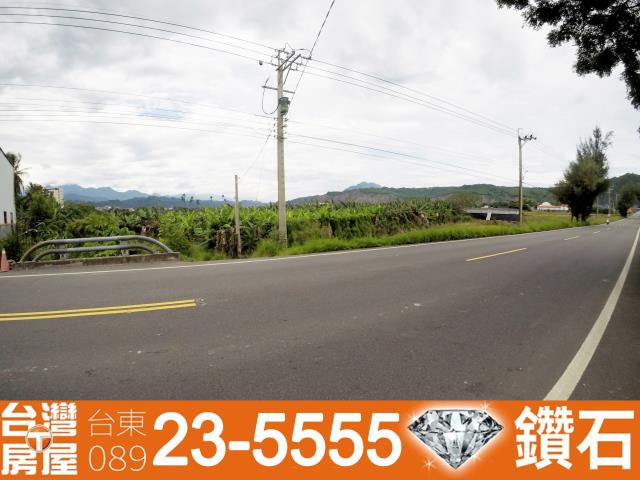 台東台東市農地-4
