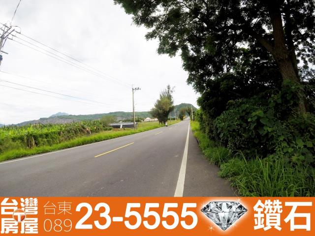 台東台東市農地-5