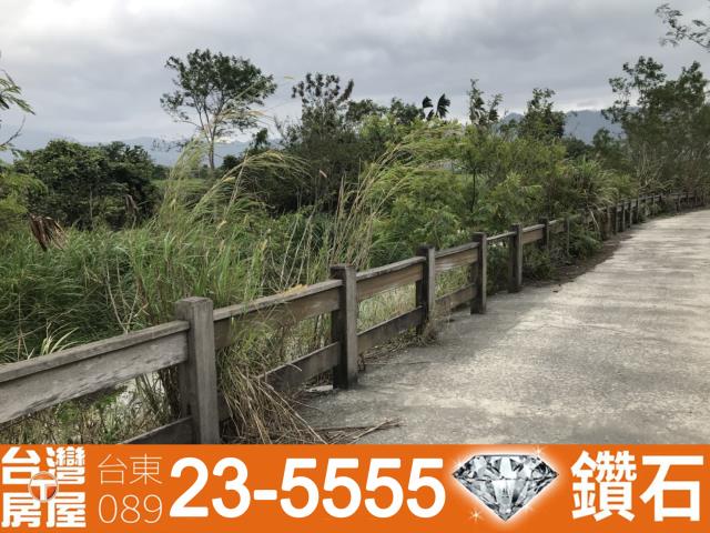 鹿野農地-12