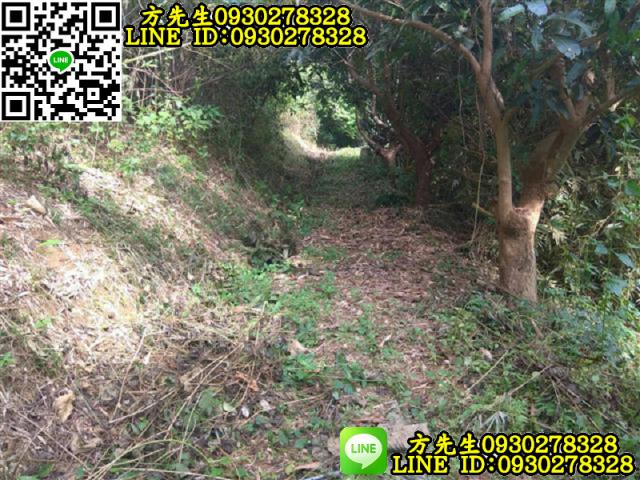 關廟農地-0