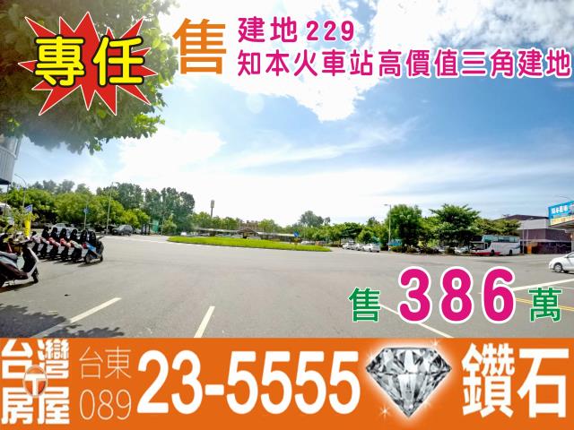 台東建地-0