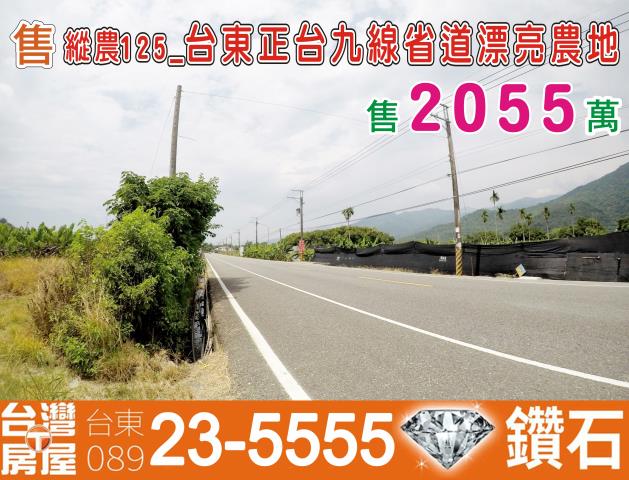 台東卑南農地-0